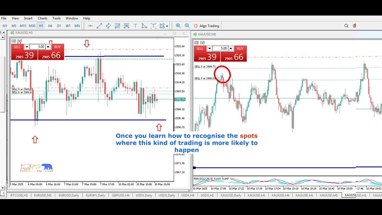 Gold chart illustrating a wash and rinse stop-hunt before the real move