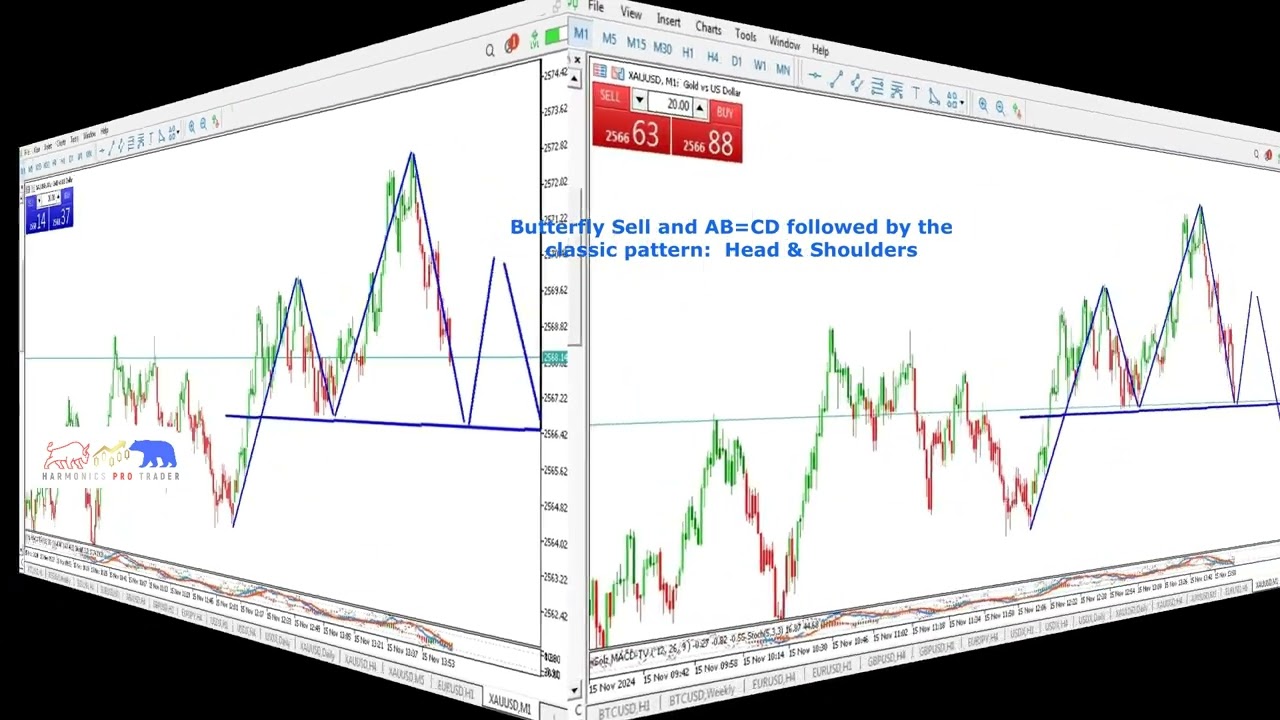 Chart combining a harmonic Butterfly, AB=CD and a classic Head and Shoulders pattern